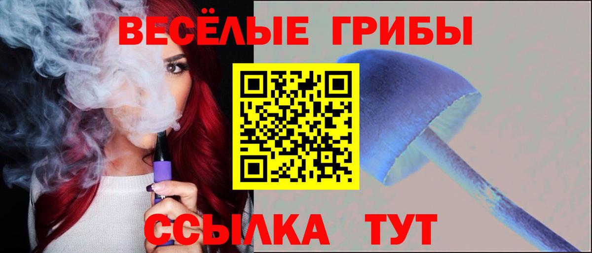 Галлюциногенные грибы GOLDEN TEACHER  Вход с VPN  Псилоцибиновые грибы мицелий  Кулебаки 